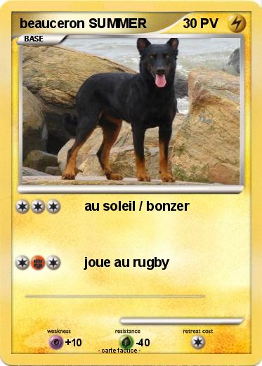 Pokemon beauceron SUMMER