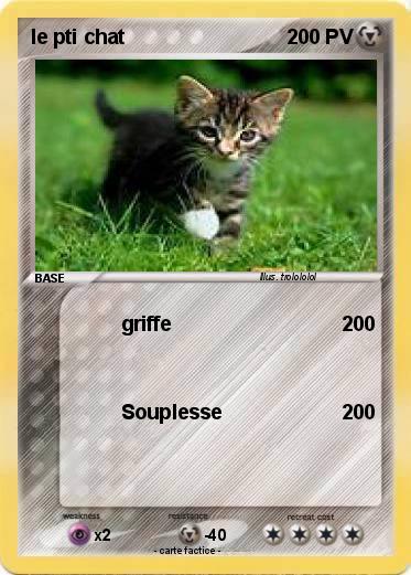 Pokemon le pti chat