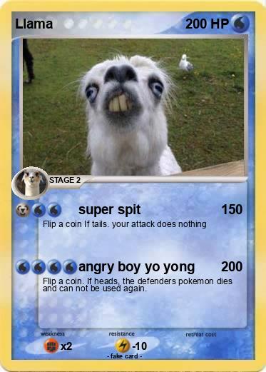 Pokemon Llama