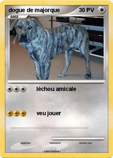 Pokemon dogue de majorque