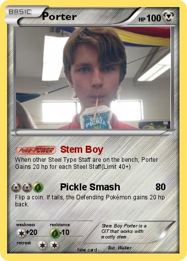Pokemon Porter