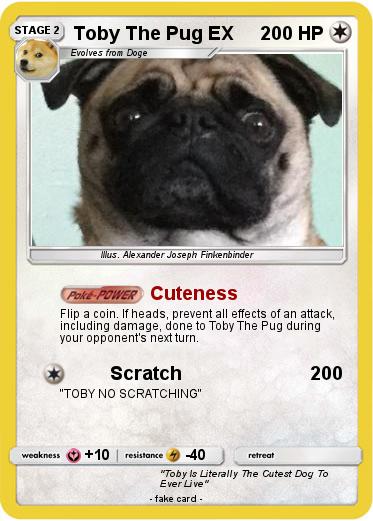 Pokemon Toby The Pug EX