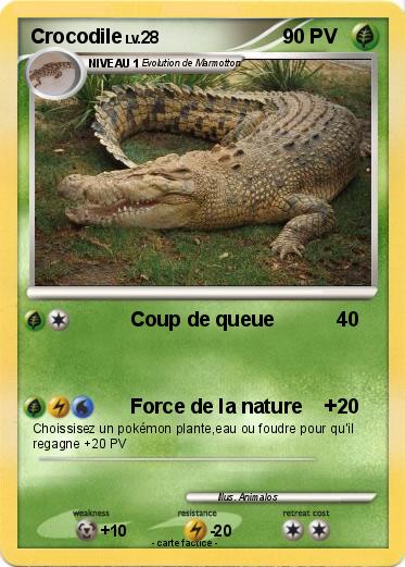 Pokemon Crocodile