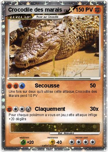 Pokemon Crocodile des marais