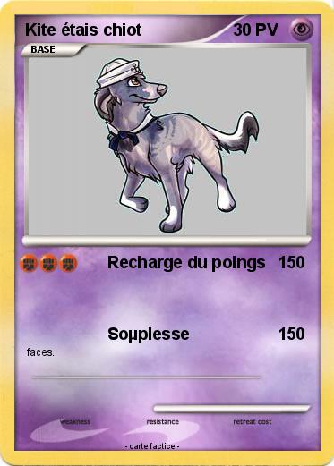 Pokemon Kite étais chiot