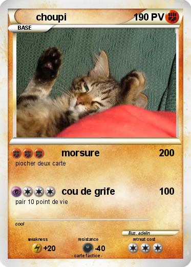 Pokemon choupi