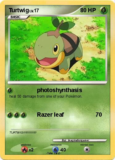 Pokemon Turtwig