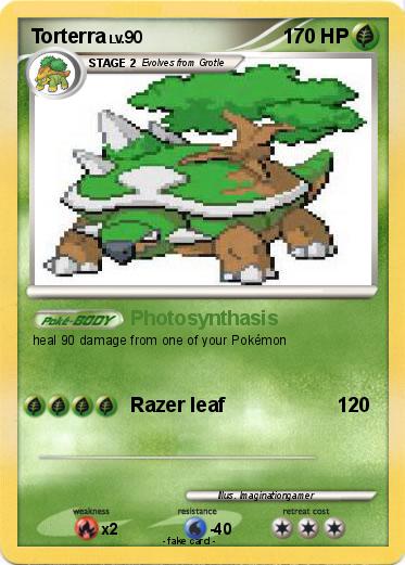 Pokemon Torterra