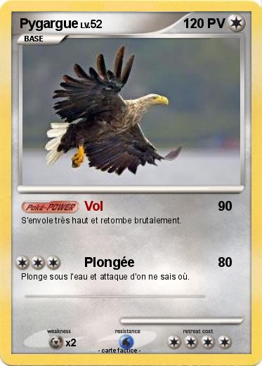 Pokemon Pygargue