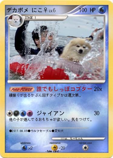 Pokemon デカポメ にこ♀