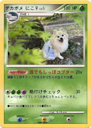 Pokemon デカポメ にこ♀