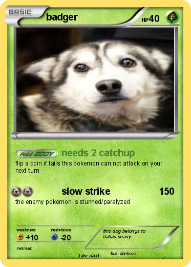 Pokemon badger