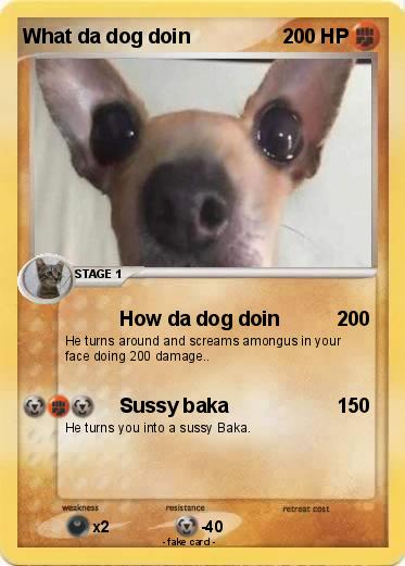 Pokemon What da dog doin
