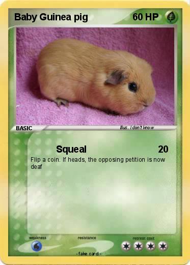 Pokemon Baby Guinea pig