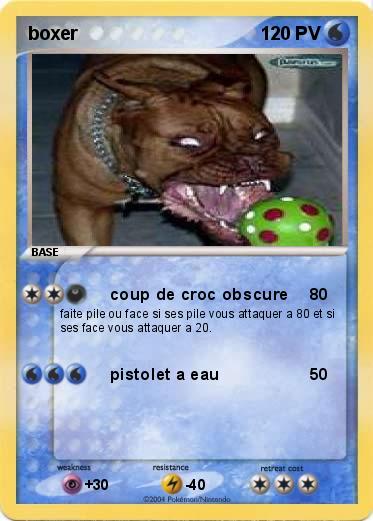 Pokemon boxer