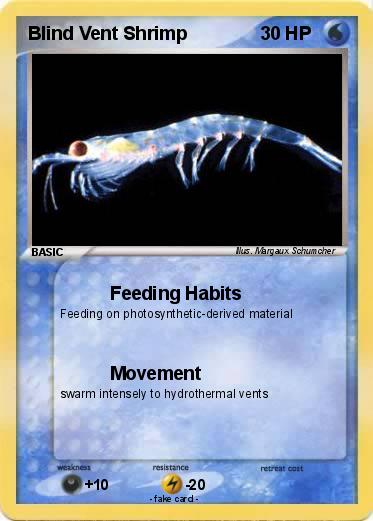 Pokemon Blind Vent Shrimp
