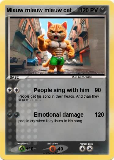 Pokemon Miauw miauw miauw cat
