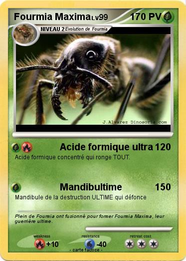 Pokemon Fourmia Maxima