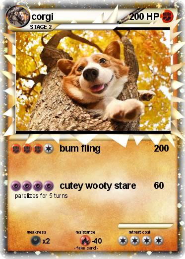 Pokemon corgi