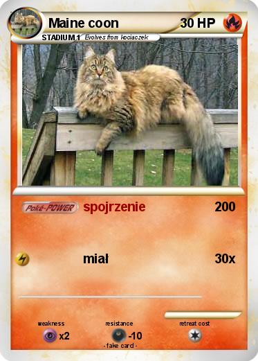 Pokemon Maine coon