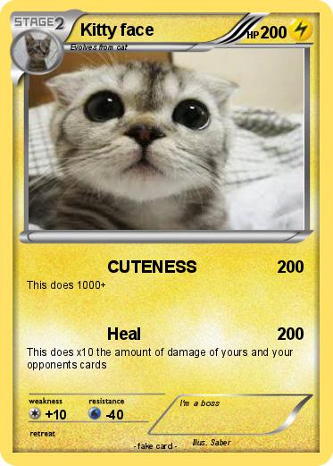 Pokemon Kitty face