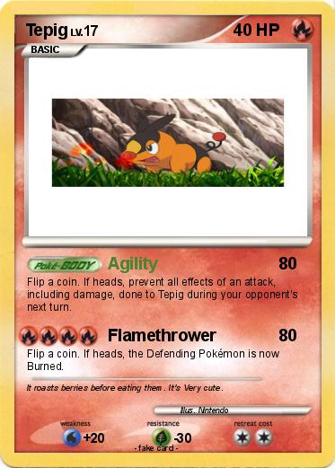 Pokemon Tepig