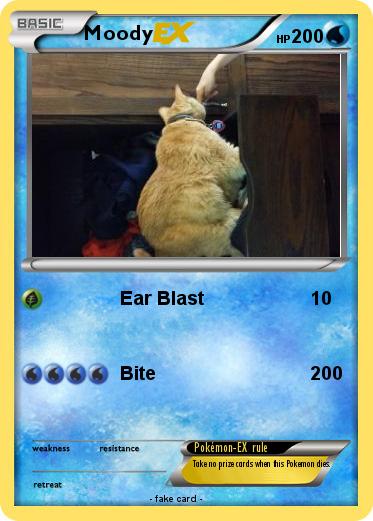 Pokemon Moody