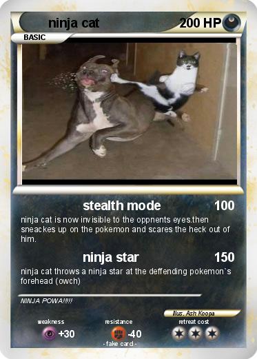Pokemon ninja cat