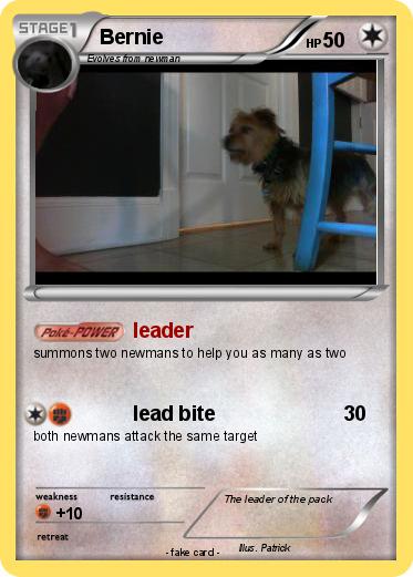 Pokemon Bernie