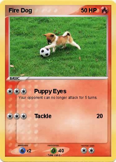 Pokemon Fire Dog