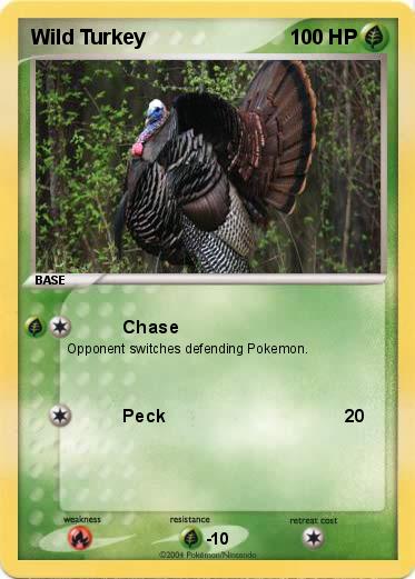 Pokemon Wild Turkey 