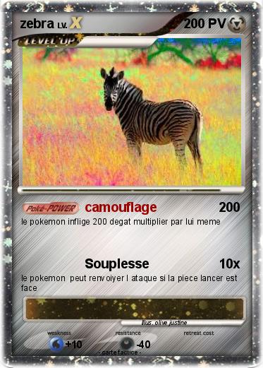 Pokemon zebra