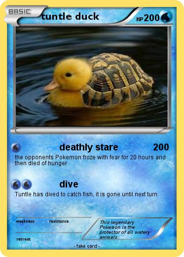 Pokemon tuntle duck