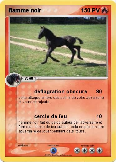 Pokemon flamme noir