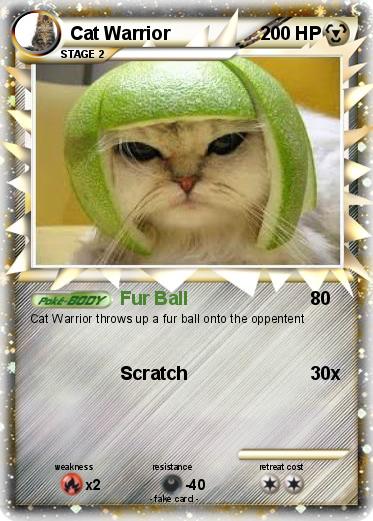 Pokemon Cat Warrior