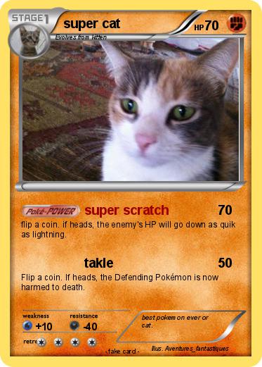 Pokemon super cat