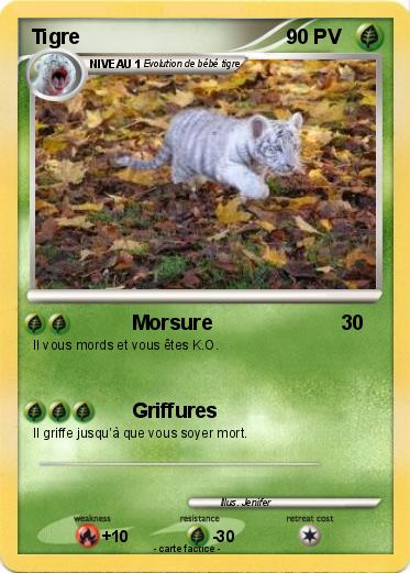 Pokemon Tigre