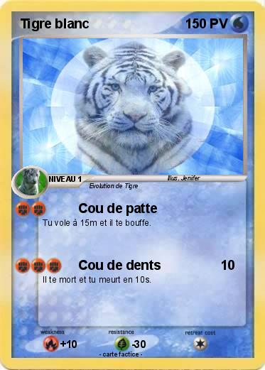 Pokemon Tigre blanc