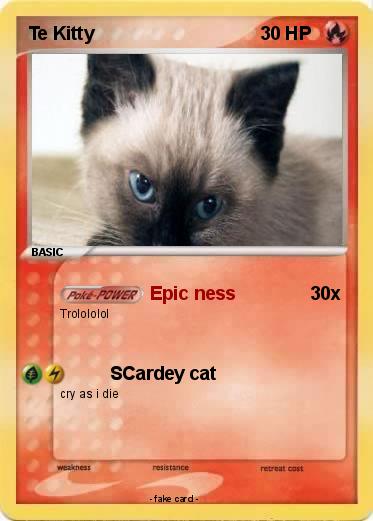 Pokemon Te Kitty