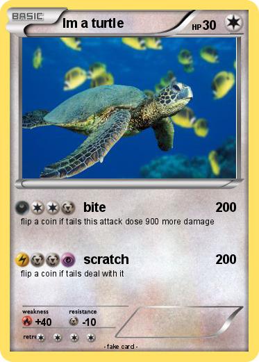 Pokemon Im a turtle