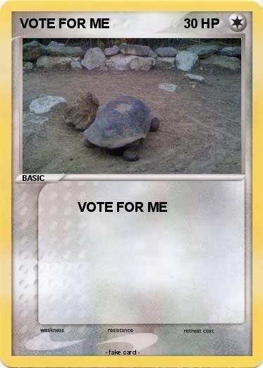 Pokemon VOTE FOR ME