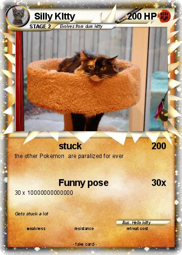 Pokemon Silly KItty