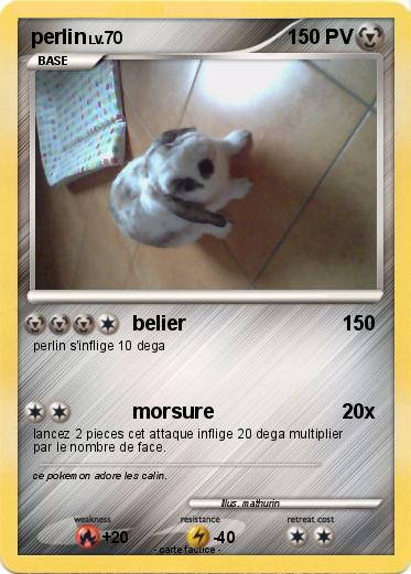 Pokemon perlin