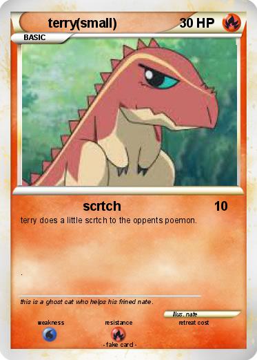 Pokemon terry(small)
