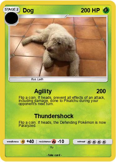 Pokemon Dog