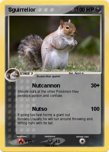 Pokemon Sguirrelior