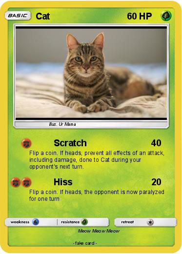 Pokemon Cat