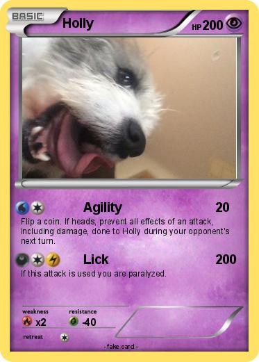 Pokemon Holly
