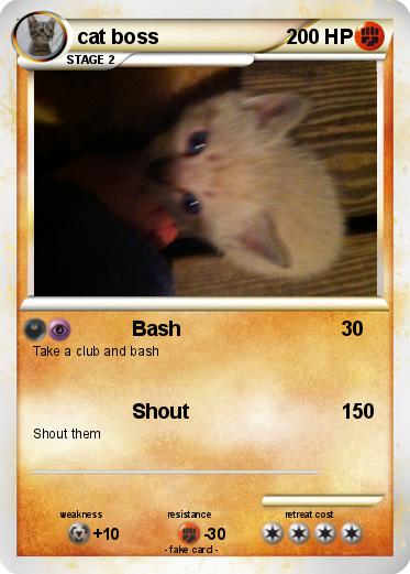 Pokemon cat boss