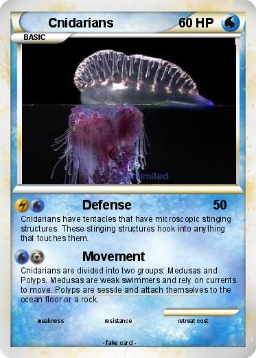 Pokemon Cnidarians